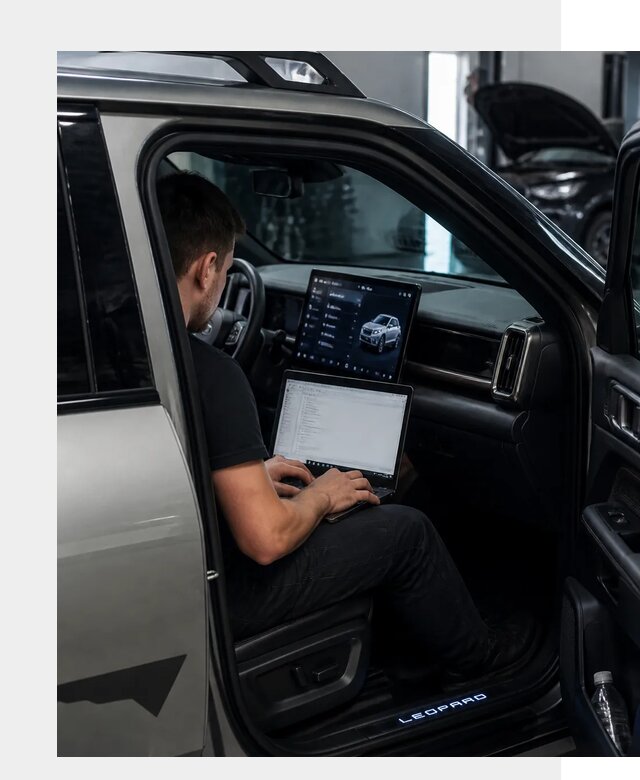 Русификация BYD Leopard 3 в Губахе по цене от 20628 р. | ФастМобиль-Гбх